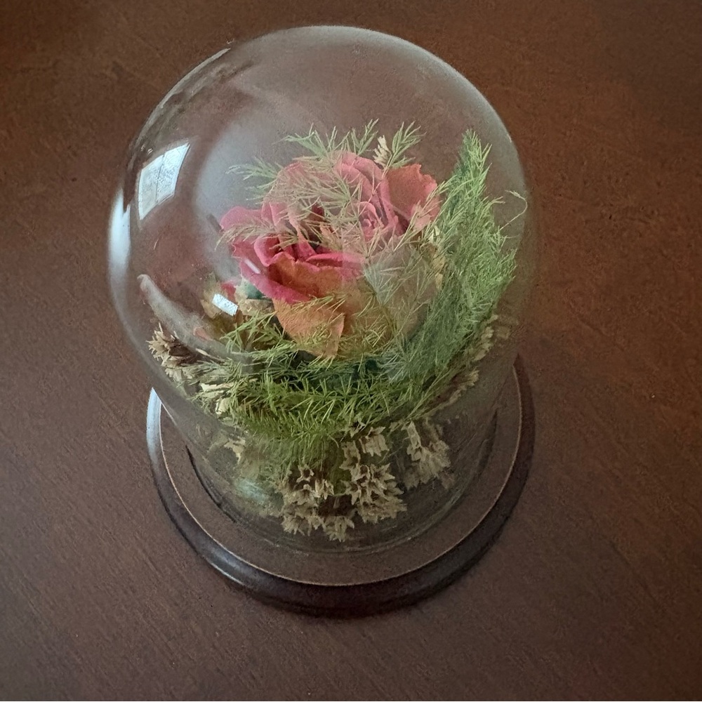 Vintage Natural Expressions Freeze Dried Preserved Roses Glass Dome & Wood Base - Picture 3 of 9